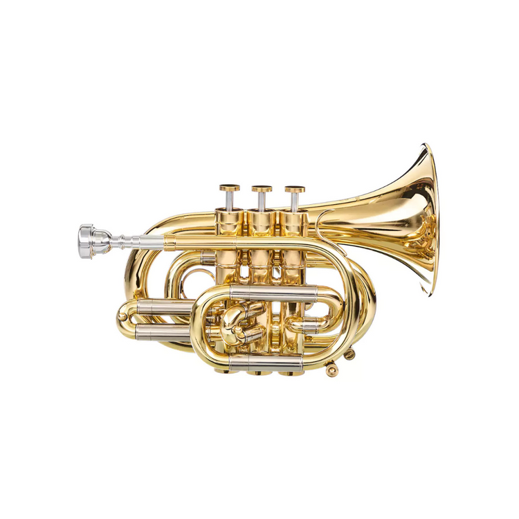 SLAVIK MUSIC - sklep z instrumentami dętymi. Instrumenty nowe i używan ...