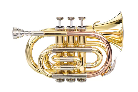 DRACO PT93 trąbka Bb kieszonkowa (pocket)