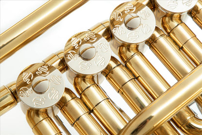 DRACO DFH 120 - sakshorn barytonowy